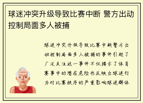 球迷冲突升级导致比赛中断 警方出动控制局面多人被捕