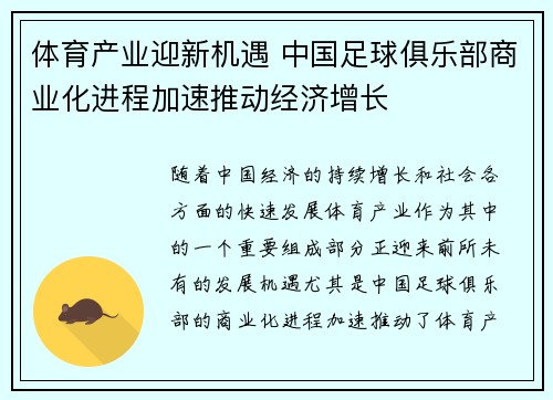 体育产业迎新机遇 中国足球俱乐部商业化进程加速推动经济增长
